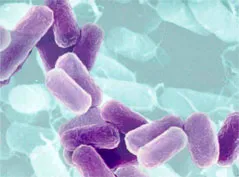 Botulisme waarschuwing